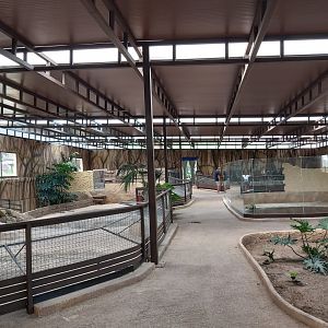 Crocodile Park (Torremolinos): view in indoor crocodile enclosure