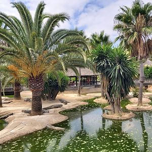 Crocodile Park (Torremolinos): Nile crocodile outdoor enclosure