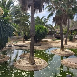 Crocodile Park (Torremolinos): Nile crocodile outdoor enclosure