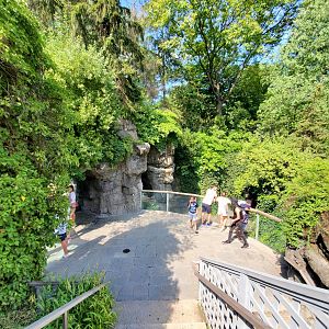 Grizzly Bear Viewing/Harbor Seal Overlook - August 2021