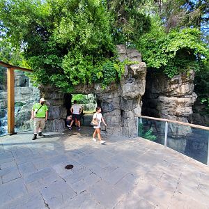 Grizzly Bear Viewing/Harbor Seal Overlook - August 2021
