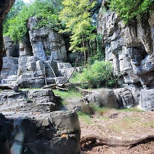 Grizzly Bear Habitat - August 2021