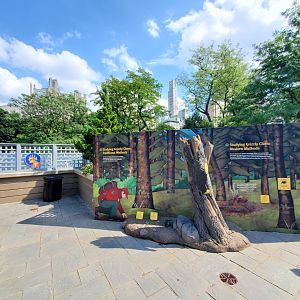 Grizzly Bear Interpretives - August 2021