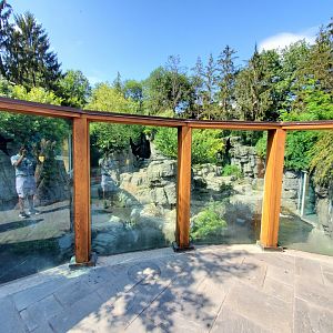 Grizzly Bear Viewing Area - August 2021