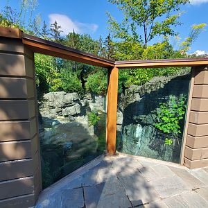 Grizzly Bear Viewing Area - August 2021