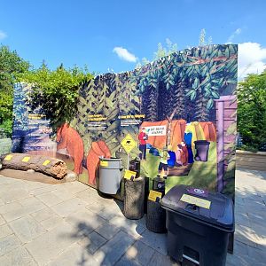 Grizzly Bear Interpretive - August 2021