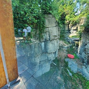 Grizzly Bear Habitat - August 2021