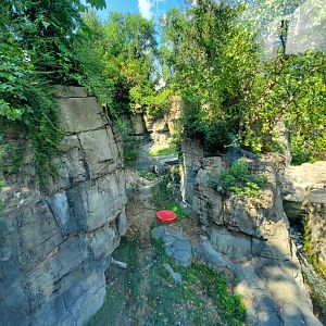 Grizzly Bear Habitat - August 2021