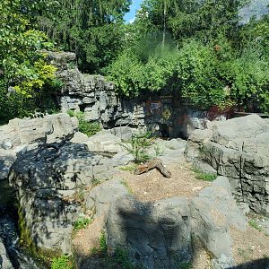 Grizzly Bear Habitat - August 2021