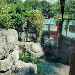 Grizzly Bear Habitat - August 2021