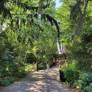 Temperate Territory - August 2021