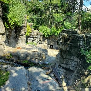 Grizzly Bear Habitat - August 2021