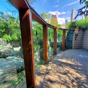 Grizzly Bear Habitat - August 2021