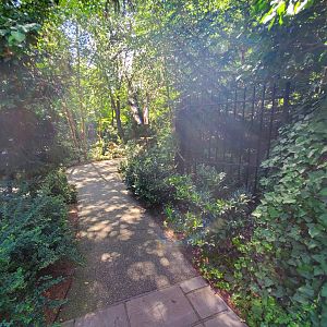 Temperate Territory Path - August 2021