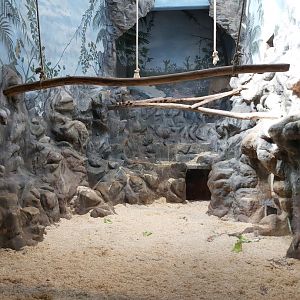 Indoor mandril exhibit