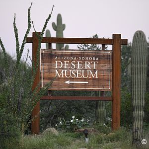 entrance sign on road