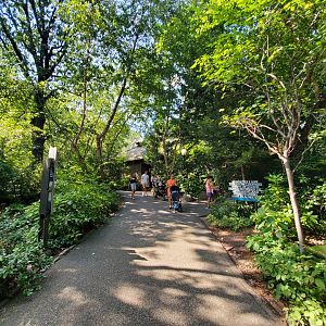 Allison Maher Stern Snow Leopard Exhibit Entrance - August 2021
