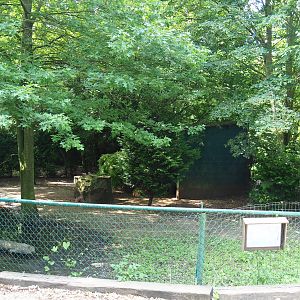 Demoiselle crane exhibit, 2021-06-15