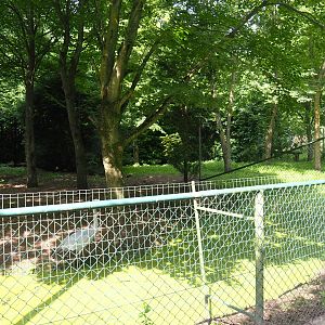 Blue crane exhibit, 2021-06-15