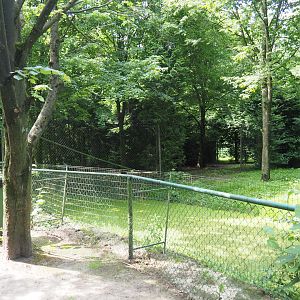 Blue crane exhibit, 2021-06-15