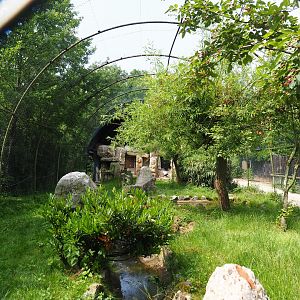 Waldrapp, Hamerkop and Southern ground hornbill aviary, 2021-06-15