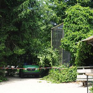 Construction and maintenance work on and near the small cat exhibits, 2021-06-15