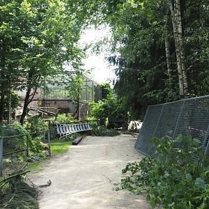 Construction and maintenance work on and near the small cat exhibits, 2021-06-15