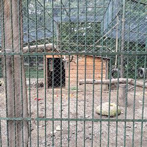 Zoo Târgu-Mures 27.08.2021.