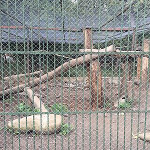 Zoo Târgu-Mures 27.08.2021.