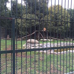 Zoo Târgu-Mures 27.08.2021.