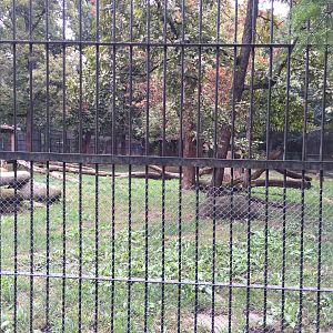 Zoo Târgu-Mures 27.08.2021.