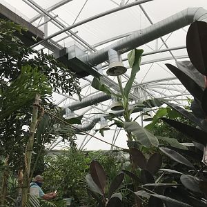 Tropical house @ Landmark forest adventure park