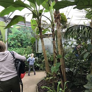 Tropical house @ Landmark forest adventure park