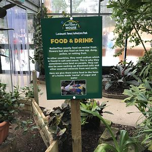 Butterfly signage @ Landmark forest adventure park