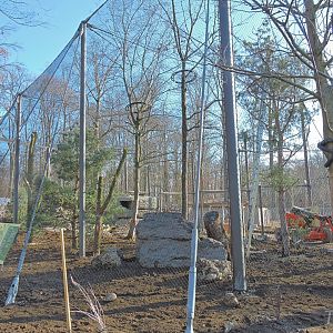 Owl aviary construction [2015]