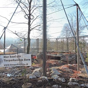 Owl aviary construction [2015]