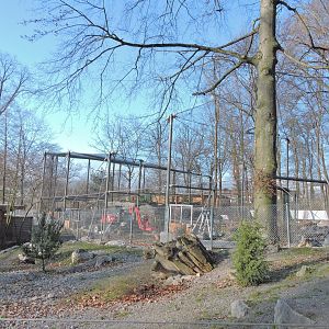 Arctic fox exhibit and owl aviary [2015]