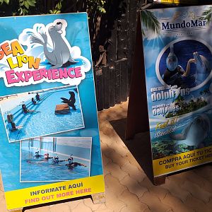 Sea lion and dolphin experience advertisements  -MundoMar Benidorm (2021)