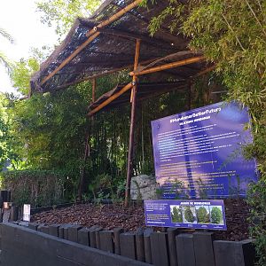 Local flora corner for reforestation projects -MundoMar Benidorm (2021)