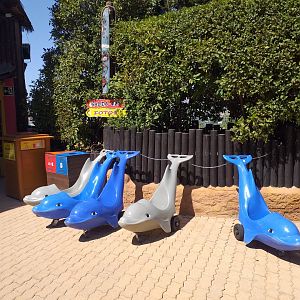 Rentable dolphin themed trollies -MundoMar Benidorm (2021)