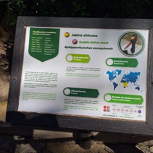 Saddle-billed stork sign -MundoMar Benidorm (2021)
