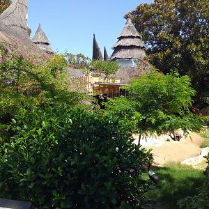 Kirk's dik-dik and Saddle-billed stork exhibit -MundoMar Benidorm (2021)