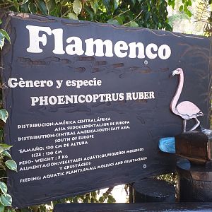 Caribbean flamingo sign -MundoMar Benidorm (2021)