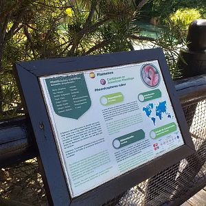 Caribbean flamingo sign -MundoMar Benidorm (2021)