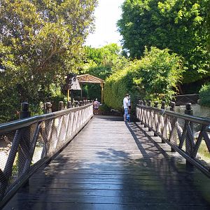 Bridge -MundoMar Benidorm (2021)