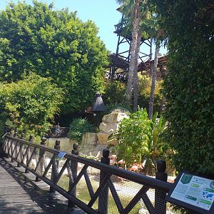 Bridge -MundoMar Benidorm (2021)