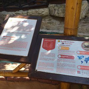 Red-eared slider sign -MundoMar Benidorm (2021)