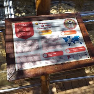 Meerkat sign -MundoMar Benidorm (2021)