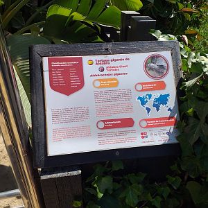 Aldabra giant tortoise sign -MundoMar Benidorm (2021)