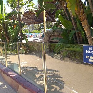 Aldabra giant tortoise exhibit -MundoMar Benidorm (2021)